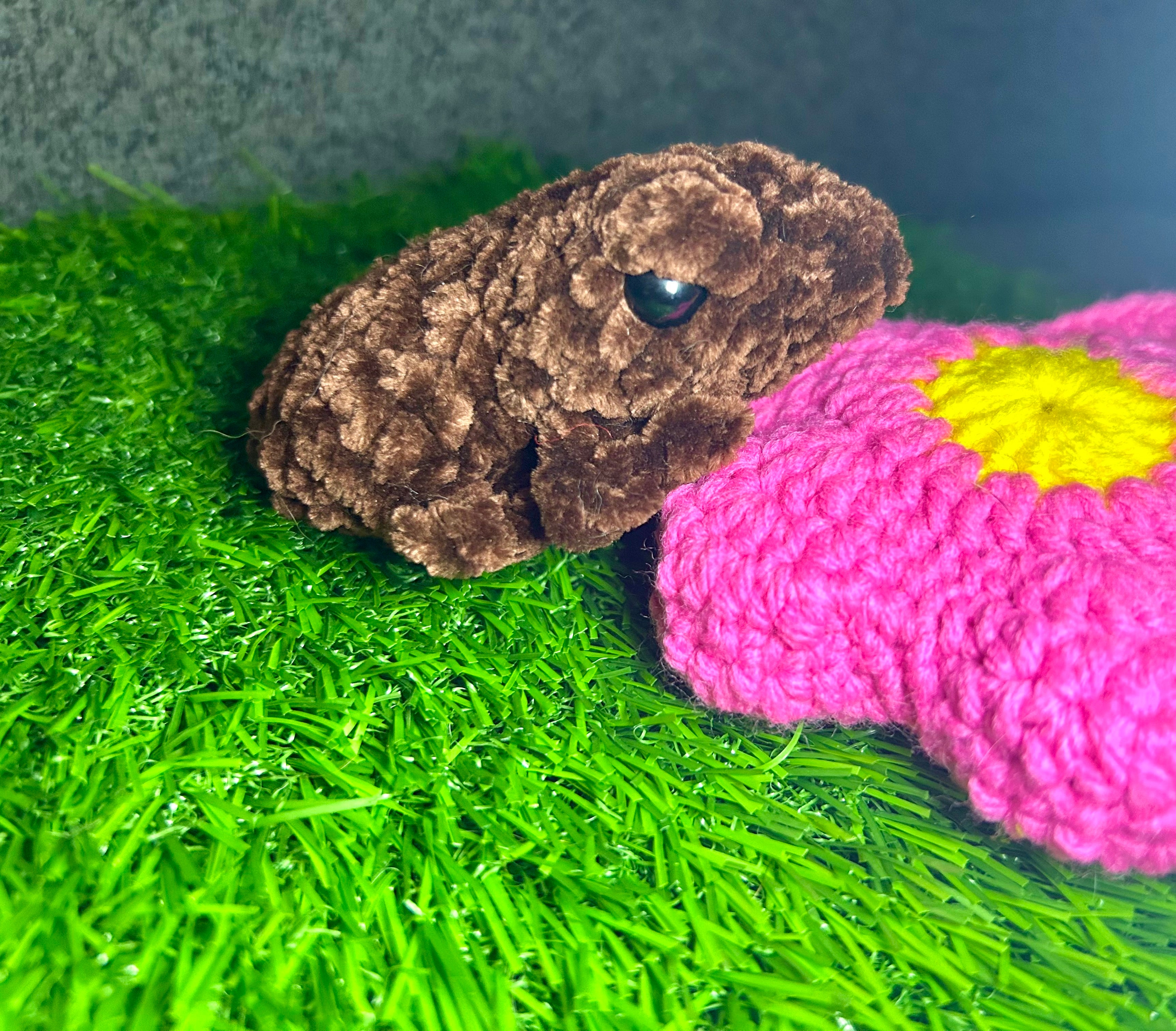 Coqui